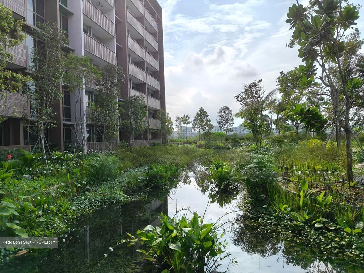 Pasir Ris Central (D18), Condominium #570995901